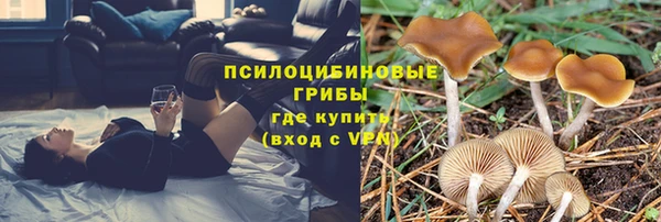 бутират Бугульма